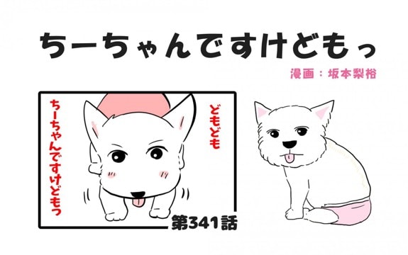 ちーちゃんですけどもっ【第341話】「今年もありがとう」