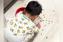 犬のごはんを落としてしまった男の子→必死に拾う後ろで、犬がこっそり…あまりにも尊い『ふたりの様子』が話題「優しすぎて泣ける」と33万再生