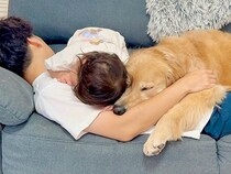 疲れてソファで寝ているパパに『1歳の女の子と2匹の犬』が…破壊力が高すぎる『休憩中の光景』が52万再生「尊い…」「なんて幸せ家族」と反響