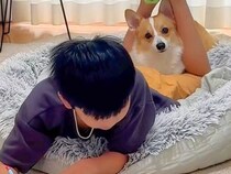 夏休み最終日、宿題をやる男の子→犬が寄り添ってきて…ずっと続いてほしい『お勉強の光景』が63万再生「尊い…」「家族愛にほっこり」と絶賛