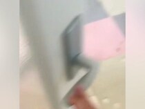 『いつも塩対応な犬』と３週間ぶりに再会→『喜んでくれるかな』と思ったら…あまりにも辛辣な『まさかの反応』に爆笑「一瞬でｗｗ」「お顔がｗ」