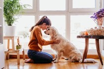 犬が見せる『ストレス限界サイン』3選！こんな行動をしていたら必ず対処して！
