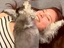 『愛犬の姉妹』に会いに行った結果→想像以上だった『まさかの歓迎方法』が125万再生「匂いをつけようとしてるのかなｗ」「スリスリ祭り」