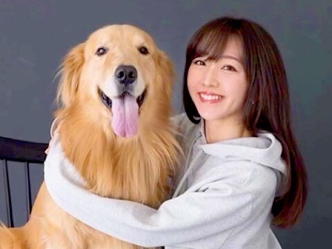 突然『余命1ヶ月』を宣告された大型犬…亡くなるまでを綴った『涙腺崩壊する光景』が240万再生「絶対に幸せだった」「勇気づけられた」と反響