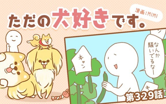 ただの犬好きです。【第329話】「帰省しました④」