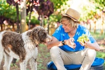 犬に絶対NGな『秋の味覚』3選　超危険な食材や万が一食べてしまったときの症状とは