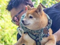 登山中、犬を穴から引っ張り上げた男性→石につまずいてしまい…思いがけない『奇跡の1枚』に12万いいね集まる「完全一致で草」「愛感じる」