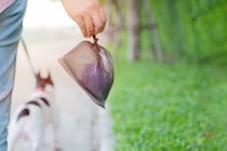 犬の飼い主が注意すべき他人への配慮7つ　トラブルを防ぐために心掛けておくべきこととは