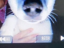 インターホンに保存された『犬の写真』を見てみたら…治安が悪すぎる『まさかの表情』に3万いいね集まる「超極悪顔で草」「絶対居留守使うw」