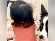 ハイハイしかできなかった赤ちゃんが『つかまり立ち』をした瞬間…隣にいた犬の『驚きすぎている表情』に8万いいね「顔ｗｗ」「焦ってて可愛い」