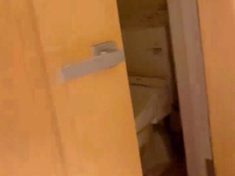 叱ったらトイレへ向かった犬→『ひとりで反省してるのかな』と思ったら…絶句する『衝撃の仕返し』が72万再生「職人の速さで草」「許すww」