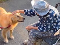 散歩中に『おばあちゃん』と久しぶりに会った大型犬→ふたりでお話をして…思わず涙が出る『心温まる光景』が38万再生「なんて尊いの…」と感動
