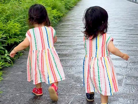 小さな女の子2人と犬を連れてお散歩→『犬が見当たらないな』と思ったら…想定外な『まさかの光景』に爆笑「可愛すぎ」「見守ってるんだよねw」