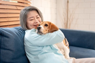 年配の女性に抱きしめられている犬