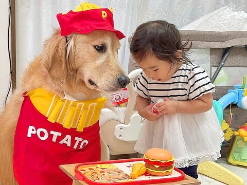 飲食店ごっこをする小さな女の子→犬が『店員さん役』に任命され…優しすぎる『まさかの対応』が46万再生「表情がw」「可愛いの大渋滞」と反響