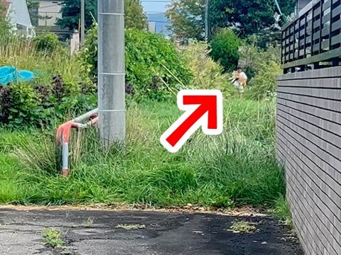 朝、散歩から『2時間も帰ってこない』パパと犬→心配で探しに行ったら…甘えん坊すぎる『まさかの光景』が話題「可愛い」「余力あったよねw」