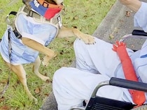 入院中の車椅子おじいちゃんが『犬に会いたい』と院長に懇願して…感動的な『再会の瞬間』に反響「何よりの薬ですね」「嬉しそうで素敵」