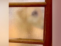 お風呂掃除が終わり、部屋に戻ると『寝ていた盲目の犬』が…泣けるほど尊い『お出迎え』が55万再生「泣けてきた」「愛情たっぷりの笑顔」と絶賛