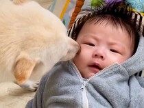 赤ちゃんだった男の子→常に犬と一緒にいた結果、相棒になり…思わず涙する『3年間の成長記録』が156万再生「尊すぎて泣けた」「素敵な関係」