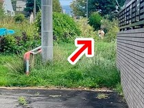 朝、散歩から『2時間も帰ってこない』パパと犬→心配で探しに行ったら…甘えん坊すぎる『まさかの光景』が話題「可愛い」「余力あったよねｗ」