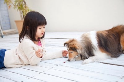 犬と遊ぶ子ども