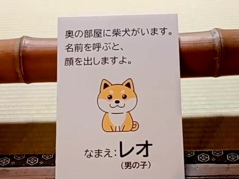 『犬がいます。呼ぶと顔を出します。』の看板→名前を呼んでみた結果…反則級な『まさかの光景』が518万再生「表情がｗ」「最高すぎる」と絶賛