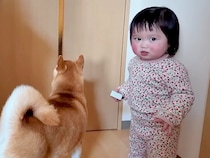 ママが外出→悲しそうに鳴く犬の横で、1歳の女の子が…想定外な『まさかのリアクション』が22万再生「温度差ｗｗ」「ふたりとも可愛い」と反響