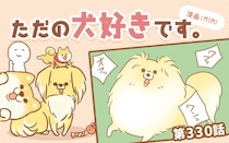 ただの犬好きです。【第330話】「帰省しました⑤」