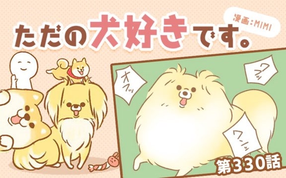 ただの犬好きです。【第330話】「帰省しました⑤」