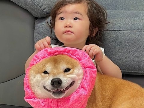 雷を怖がって震えてしまった犬→1歳の女の子が心配をして…愛おしくて泣ける『まさかの行動』が45万再生「ジーンとした」「なんて優しいの」