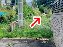 朝、散歩から『2時間も帰ってこない』パパと犬→心配で探しに行ったら…甘えん坊すぎる『まさかの光景』が話題「可愛い」「余力あったよねｗ」