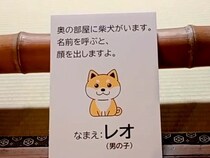 『犬がいます。呼ぶと顔を出します。』の看板→名前を呼んでみた結果…反則級な『まさかの光景』が518万再生「表情がｗ」「最高すぎる」と絶賛