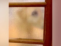 お風呂掃除が終わり、部屋に戻ると『寝ていた盲目の犬』が…泣けるほど尊い『お出迎え』が55万再生「泣けてきた」「愛情たっぷりの笑顔」と絶賛