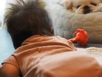 生まれたばかりの赤ちゃんに寄り添う犬→あまりにも尊い『一番近くで見守る光景』が17万表示「感動して泣いちゃう」「後頭部可愛すぎ」と絶賛