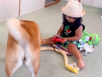 ソリで遊ぶ2歳の女の子が、犬に『引っ張って』とお願いをした結果→『できないかな』と思っていたら…人間味のある『想定外の行動』に思わず感動