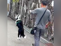 『大好きなおじさん』と一緒にお散歩した犬→歩いていたら、嬉しくなりすぎて…テンションMAXになった『想像を超える行動』に反響飛びすぎｗ」