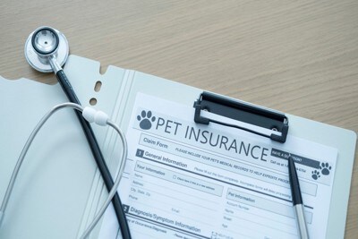 ペット保険の書類