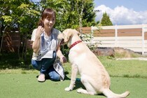 犬のために作られた『サービス』3選　意外と知られていない便利なサポートや利用する際の注意点まで