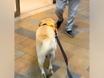出張帰りのママを『駅まで大型犬とお迎えに行った』結果→見つけた瞬間に…感動的な『再会の反応』に絶賛「ジーンときた…」「健気で可愛い」