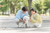 あなたの犬を『一番幸せにする』方法3選　愛犬が最高の生活を送るためのポイントや飼い主が改善すべきことまで