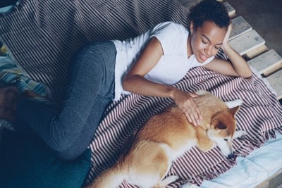飼い主のそばでリラックスして伏せる犬