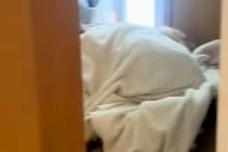 朝、大型犬と男の子があまりにも静かなので探してみた結果→想定外だった『まさかの状況』が78万再生「怒れないｗｗ」「幸せすぎる…」