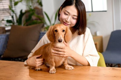 女性と犬