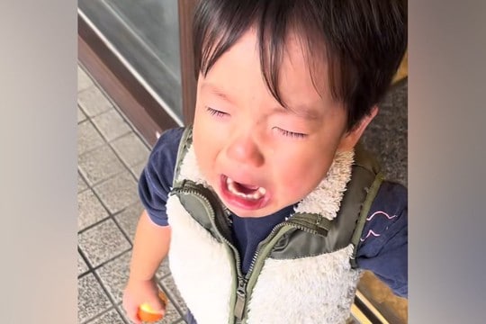 2歳の男の子が『トリミングに行った愛犬ともう会えない』と大号泣してしまい…尊い家族愛と『再会の瞬間』が62万再生「立派な愛犬家」の声も