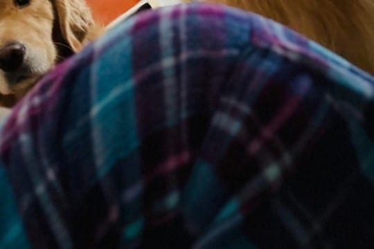 風邪をひいて寝ていたら、背後から視線を感じて…そっとインカメラで撮影した結果→泣けてくる光景に2万いいね「心配そうな顔」「優しい」と感動