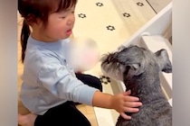 ママに叱られた小さい女の子→泣いていたら、犬が寄り添って…兄妹愛あふれる『尊すぎる行動』に反響「優しい」「いい関係でほっこり」と2万再生