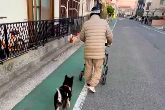 『近所のおじいちゃん』が大好きな犬→一緒に『シニアカー』に乗って…素敵すぎる『ふたりの時間』が38万再生「心が暖かくなる」「かわいい」