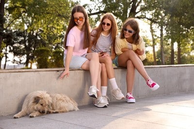 サングラスをかけた3人と犬