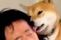 犬から舐められまくる父→想像以上の勢いで…思わず笑ってしまう『すべてを諦めている表情』が話題「なすがままｗｗ」「愛されてるね」