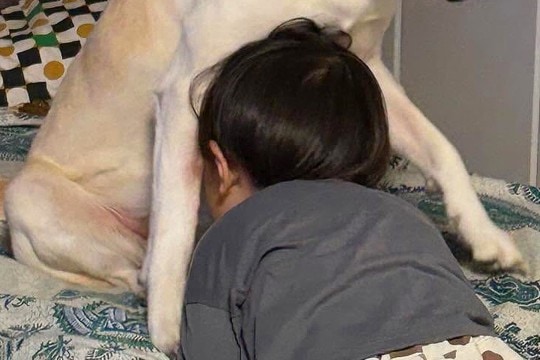 お母さんに叱られた男の子→保護犬に『助けて』と駆け寄って…家族愛を感じる『尊い光景』に1万いいね集まる「もうひとりの親」「めっちゃ人間」